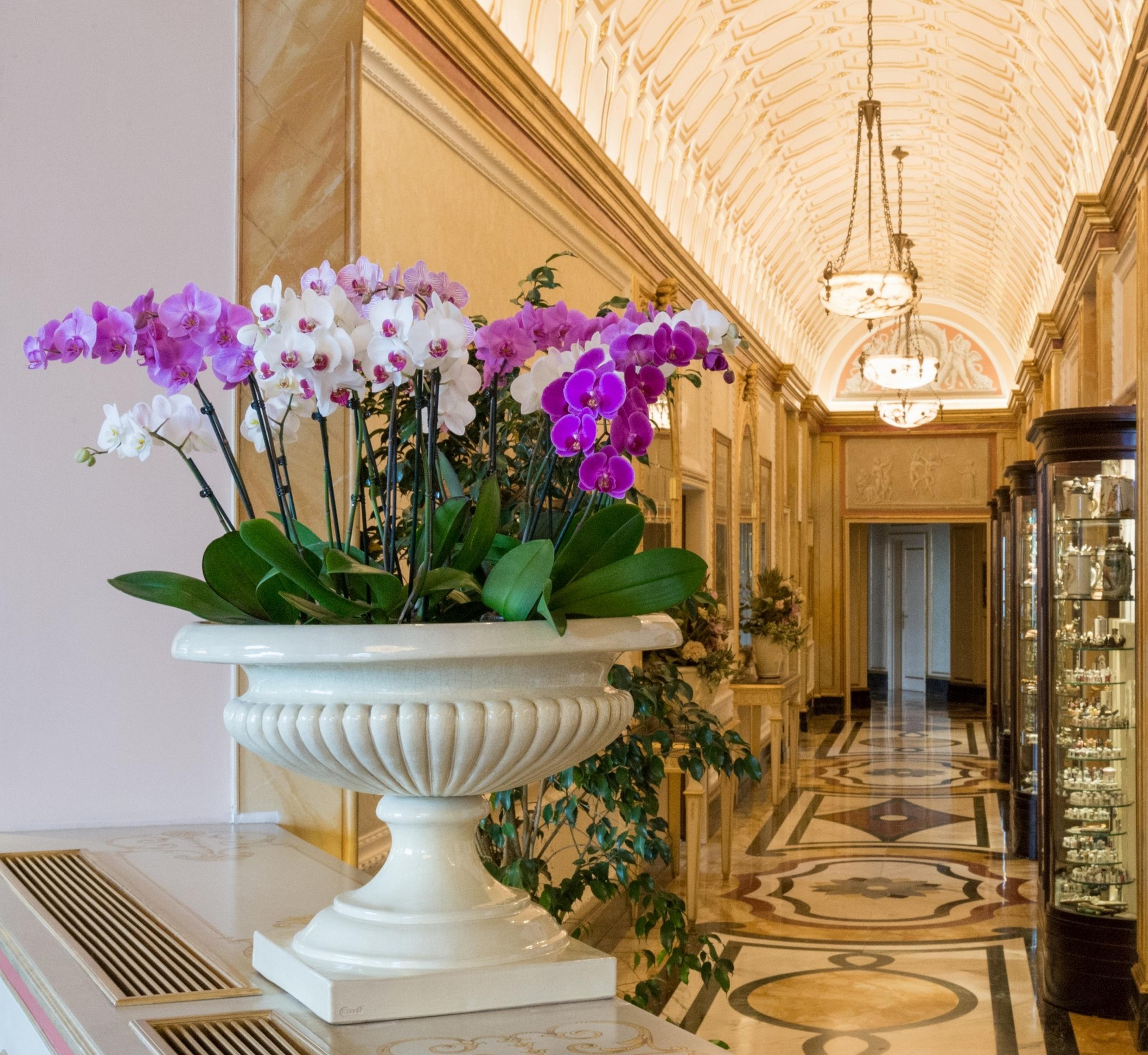 Hotel Regina Palace Stresa